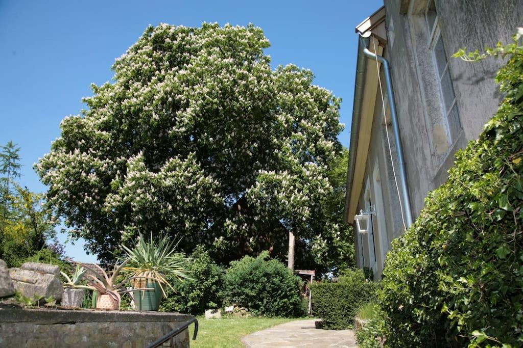 Haus Keppelborg: Zi Antonia Mit Kirchplatzblick Apartment Heek Bagian luar foto