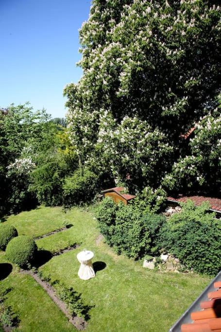 Haus Keppelborg: Zi Antonia Mit Kirchplatzblick Apartment Heek Bagian luar foto